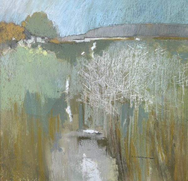 Reed Bed, Falmouth Estuary